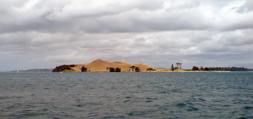 hauraki gulf
